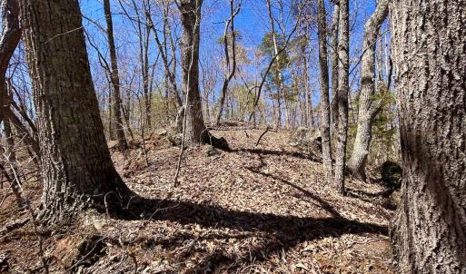 Photo #29 of SOLD property in Off Drawbridge Rd, Pittsville, VA 18.1 acres