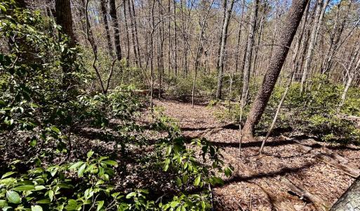 Photo #30 of SOLD property in Off Drawbridge Rd, Pittsville, VA 18.1 acres