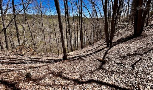 Photo #31 of SOLD property in Off Drawbridge Rd, Pittsville, VA 18.1 acres
