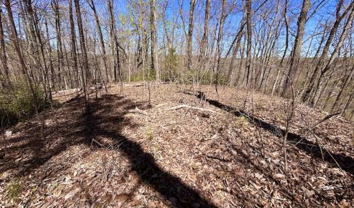 Photo #32 of SOLD property in Off Drawbridge Rd, Pittsville, VA 18.1 acres
