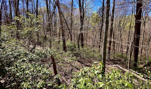 Photo #33 of SOLD property in Off Drawbridge Rd, Pittsville, VA 18.1 acres