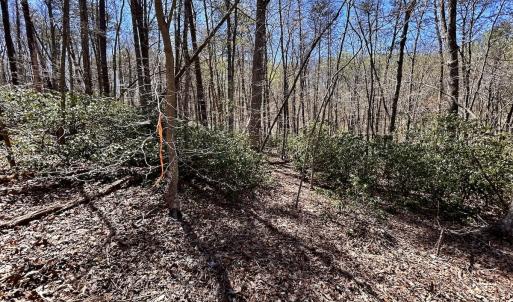 Photo #35 of SOLD property in Off Drawbridge Rd, Pittsville, VA 18.1 acres