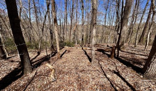 Photo #36 of SOLD property in Off Drawbridge Rd, Pittsville, VA 18.1 acres