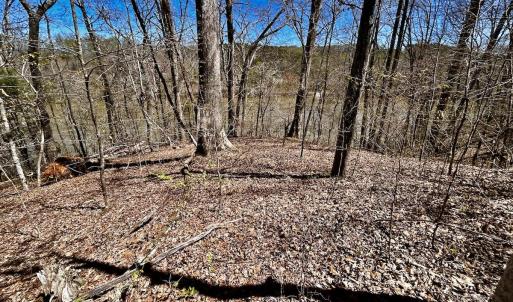 Photo #37 of SOLD property in Off Drawbridge Rd, Pittsville, VA 18.1 acres