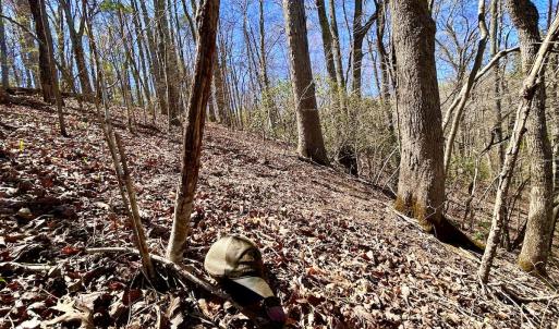 Photo #40 of SOLD property in Off Drawbridge Rd, Pittsville, VA 18.1 acres