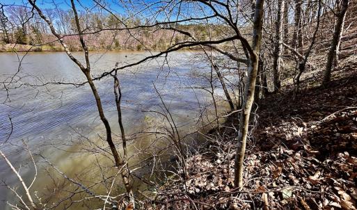 Photo #42 of SOLD property in Off Drawbridge Rd, Pittsville, VA 18.1 acres