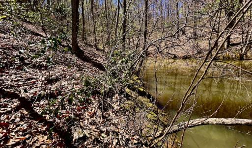 Photo #45 of SOLD property in Off Drawbridge Rd, Pittsville, VA 18.1 acres
