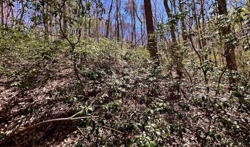 Photo #46 of SOLD property in Off Drawbridge Rd, Pittsville, VA 18.1 acres