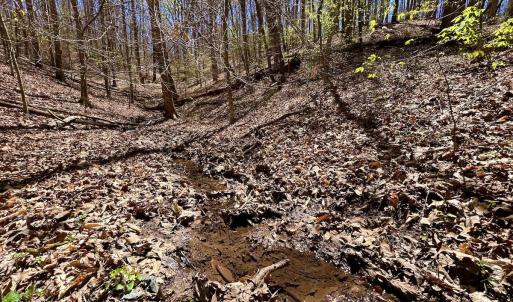 Photo #49 of SOLD property in Off Drawbridge Rd, Pittsville, VA 18.1 acres