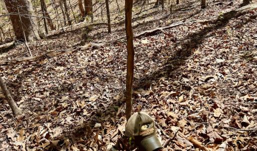 Photo #50 of SOLD property in Off Drawbridge Rd, Pittsville, VA 18.1 acres