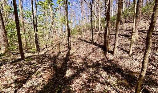 Photo #51 of SOLD property in Off Drawbridge Rd, Pittsville, VA 18.1 acres