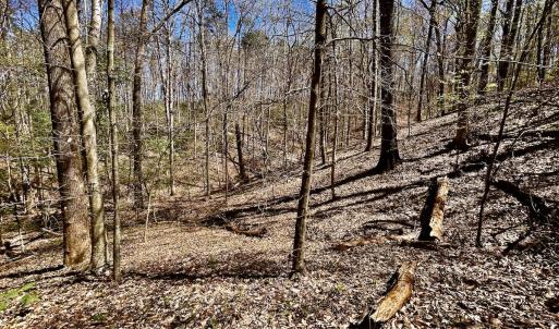 Photo #53 of SOLD property in Off Drawbridge Rd, Pittsville, VA 18.1 acres