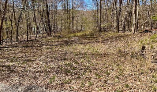 Photo #55 of SOLD property in Off Drawbridge Rd, Pittsville, VA 18.1 acres
