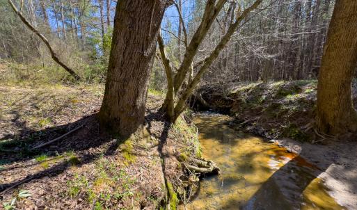 Photo #6 of SOLD property in 6342 Wilkesboro Highway, Union Grove, NC 11.0 acres
