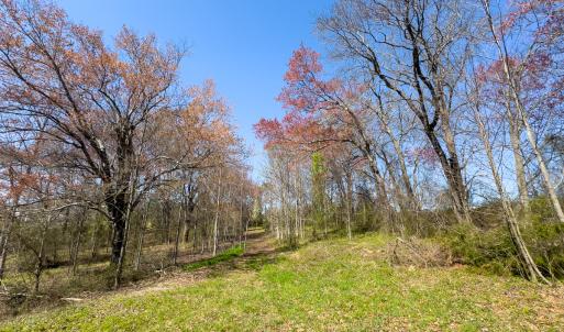 Photo #7 of SOLD property in 6342 Wilkesboro Highway, Union Grove, NC 11.0 acres