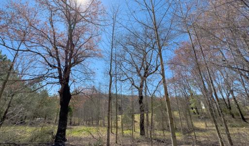 Photo #11 of SOLD property in 6342 Wilkesboro Highway, Union Grove, NC 11.0 acres
