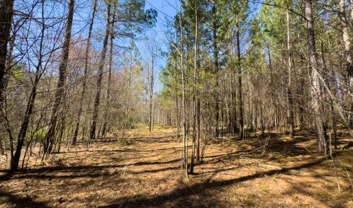 Photo #12 of SOLD property in 6342 Wilkesboro Highway, Union Grove, NC 11.0 acres