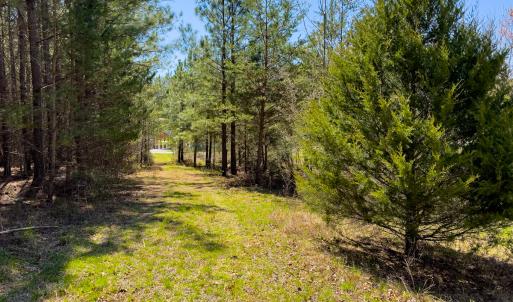 Photo #14 of SOLD property in 6342 Wilkesboro Highway, Union Grove, NC 11.0 acres