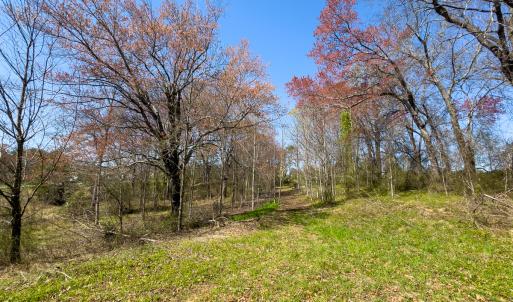 Photo #17 of SOLD property in 6342 Wilkesboro Highway, Union Grove, NC 11.0 acres