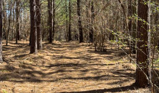 Photo #19 of SOLD property in 6342 Wilkesboro Highway, Union Grove, NC 11.0 acres