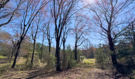Photo #31 of SOLD property in 6342 Wilkesboro Highway, Union Grove, NC 11.0 acres