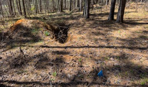 Photo #32 of SOLD property in 6342 Wilkesboro Highway, Union Grove, NC 11.0 acres