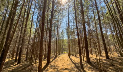 Photo #38 of SOLD property in 6342 Wilkesboro Highway, Union Grove, NC 11.0 acres