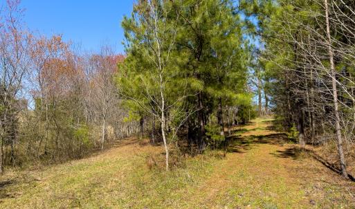 Photo #43 of SOLD property in 6342 Wilkesboro Highway, Union Grove, NC 11.0 acres
