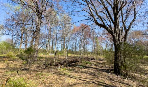 Photo #44 of SOLD property in 6342 Wilkesboro Highway, Union Grove, NC 11.0 acres