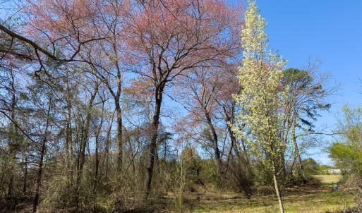 Photo #53 of SOLD property in 6342 Wilkesboro Highway, Union Grove, NC 11.0 acres
