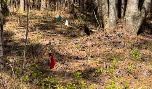 Photo #54 of SOLD property in 6342 Wilkesboro Highway, Union Grove, NC 11.0 acres