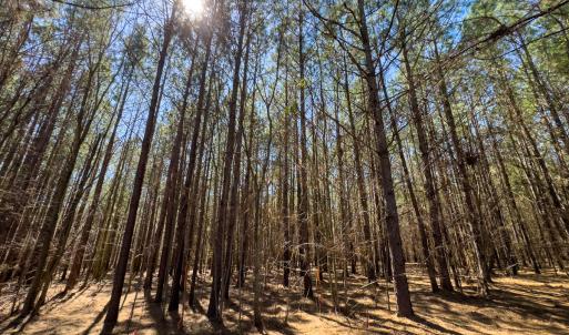 Photo #55 of SOLD property in 6342 Wilkesboro Highway, Union Grove, NC 11.0 acres