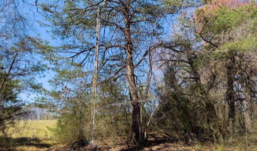 Photo #57 of SOLD property in 6342 Wilkesboro Highway, Union Grove, NC 11.0 acres
