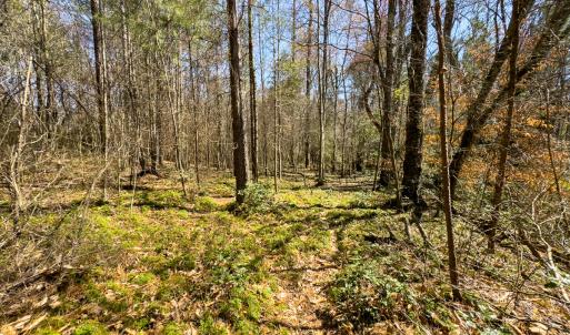 Photo #59 of SOLD property in 6342 Wilkesboro Highway, Union Grove, NC 11.0 acres