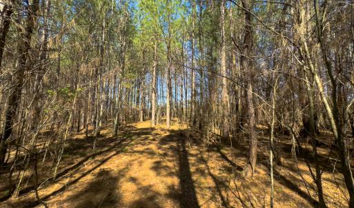 Photo #60 of SOLD property in 6342 Wilkesboro Highway, Union Grove, NC 11.0 acres