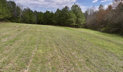 Photo #16 of SOLD property in Off Bessie Hicks Road, Norlina, NC 3.0 acres