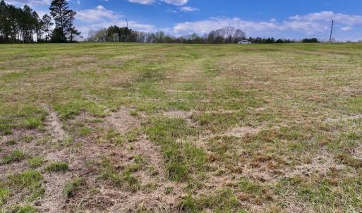 Photo #18 of SOLD property in Off Bessie Hicks Road, Norlina, NC 3.0 acres