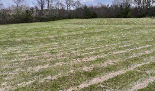 Photo #9 of SOLD property in Off Bessie Hicks Road, Norlina, NC 3.0 acres