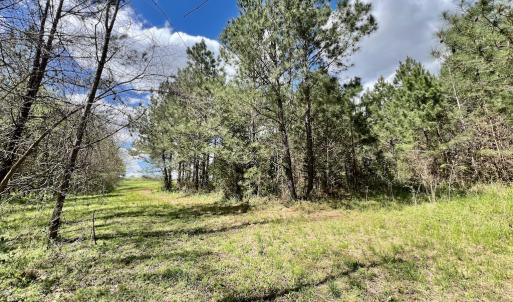 Photo #10 of SOLD property in Off Bessie Hicks Road, Norlina, NC 19.0 acres