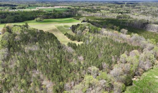 Photo #21 of SOLD property in Off Bessie Hicks Road, Norlina, NC 19.0 acres