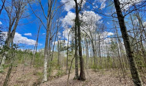 Photo #4 of SOLD property in Off Bessie Hicks Road, Norlina, NC 19.0 acres