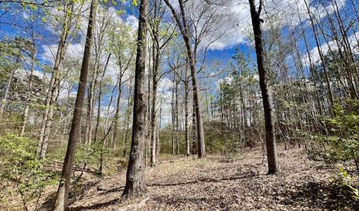 Photo #5 of SOLD property in Off Bessie Hicks Road, Norlina, NC 19.0 acres