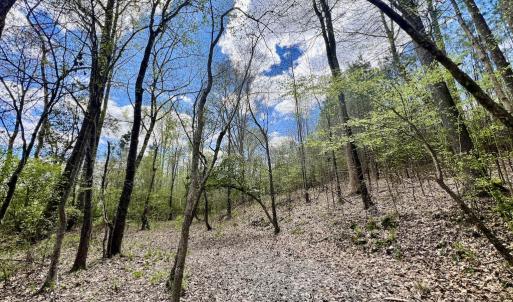 Photo #6 of SOLD property in Off Bessie Hicks Road, Norlina, NC 19.0 acres
