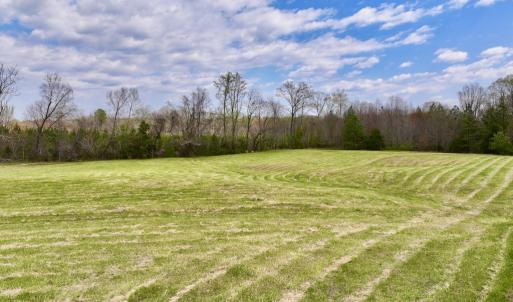 Photo #13 of SOLD property in Off Bessie Hicks Road, Norlina, NC 5.0 acres