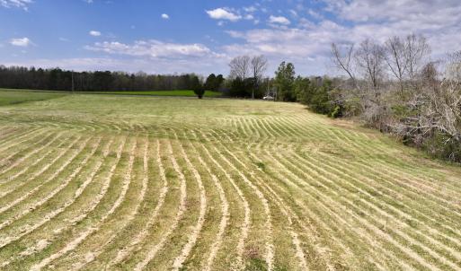 Photo #14 of SOLD property in Off Bessie Hicks Road, Norlina, NC 5.0 acres