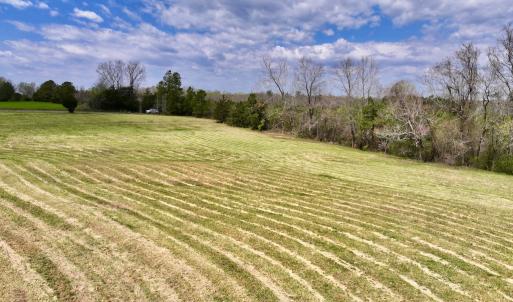 Photo #15 of SOLD property in Off Bessie Hicks Road, Norlina, NC 5.0 acres