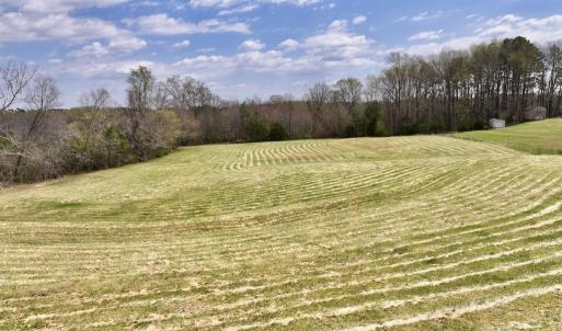 Photo #17 of SOLD property in Off Bessie Hicks Road, Norlina, NC 5.0 acres