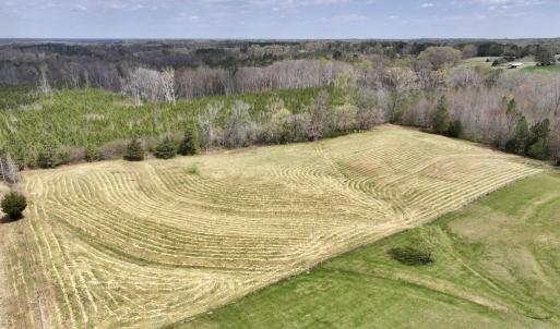 Photo #3 of SOLD property in Off Bessie Hicks Road, Norlina, NC 5.0 acres