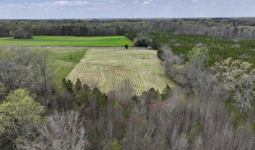 Photo #6 of SOLD property in Off Bessie Hicks Road, Norlina, NC 5.0 acres