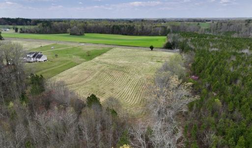 Photo #7 of SOLD property in Off Bessie Hicks Road, Norlina, NC 5.0 acres